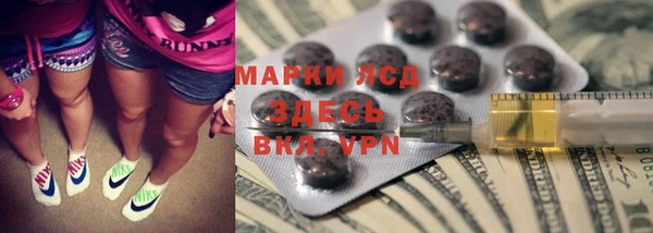 стаф Дмитриев