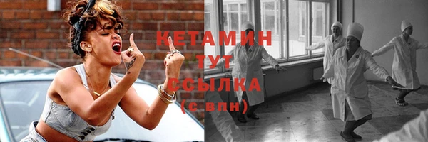 стаф Дмитриев