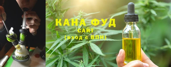 стаф Дмитриев