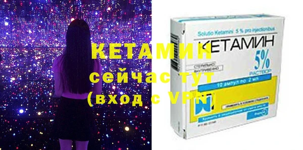 стаф Дмитриев