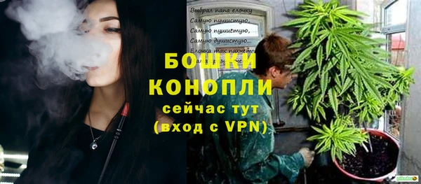 стаф Дмитриев
