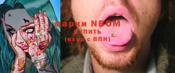 стаф Дмитриев