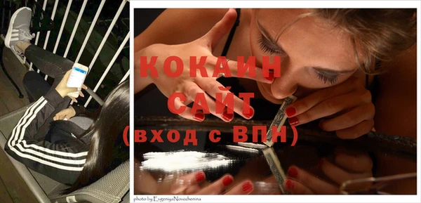 стаф Дмитриев