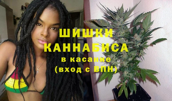 стаф Дмитриев