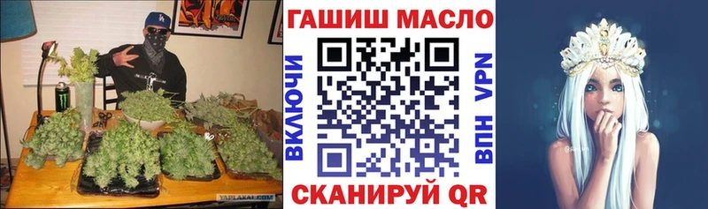 shop состав  Полесск  ТГК концентрат 