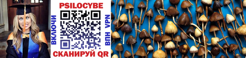 Псилоцибиновые грибы Cubensis  Полесск 