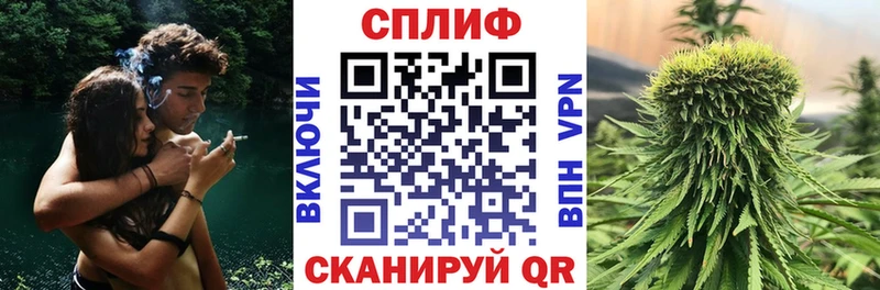 где купить   Полесск  Каннабис план 